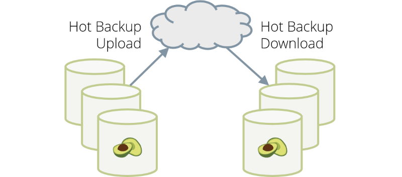 arangodb 3.5.1 hot backup upload download