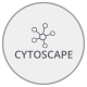 Cytoscape and ArangoDB
