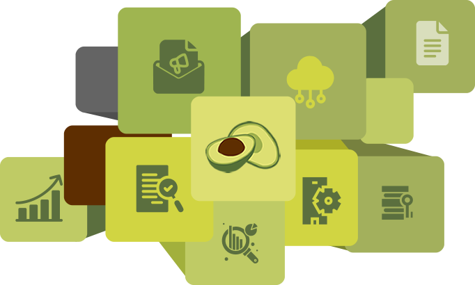 master data management