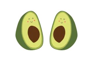 AVOCADO 300x212